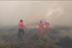 Kebakaran Lahan Terjadi di Ulak Tangisan, Ogan Ilir: Petugas Berjibaku Padamkan Api