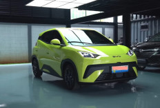 Pasar Mobil Indonesia 2025 Berubah Drastis: BYD Atto 1 Rusak Dominasi Jepang !