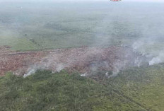 Meski Hujan, Kebakaran Lahan di Pangkalan Lampam dan Tulung Selapan OKI Masih Menyisahkan Asap