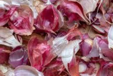 Atasi Kaki Kram dengan Kulit Bawang Merah