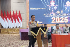 Polda Sumsel Produksi 186.273 Ton Jagung