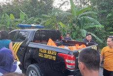 Jasad yang Tinggal Tulang Belulang Diduga Amel Warga Sekayu : Polisi Amankan Terduga Pelaku !