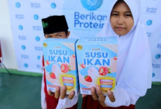 Kelebihan dan Kekurangan Susu Ikan  