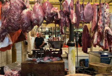 Harga Pangan 6 Desember 2024 : Daging Sapi Turun Jadi Rp134.500 per Kilogram !