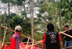 Judi Sabung Ayam di Kisam Tinggi Dibongkar Polisi, Warga Minta Tindakan Tegas