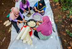 Kredit Macet Menurun, Direktur Utama BRI Ungkap Strategi Tingkatkan Kualitas Aset