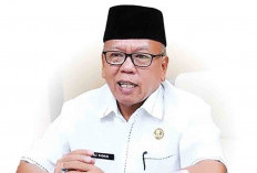 Owner Ummi Travel Terancam Dipecat sebagai ASN Musi Rawas, Ini Penjelasan Sekda! 