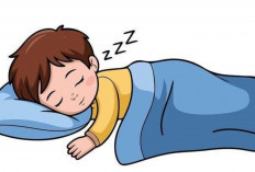 Tidur Siang Ternyata Dapat Meningkatkan Daya Ingat dan Memperbaiki Mood