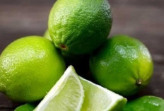 Segarnya Jeruk Nipis, Seberapa Efektif Redakan Panas Dalam?