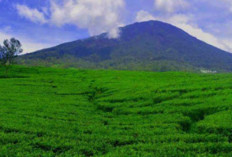 Eksplorasi Alam Sumatera Selatan : Perjalanan Menyusuri Gunung Dempo dari Pasar Jarai !