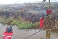 Pemprov Sumsel Perkuat Desa Peduli Api Cegah Karhutla