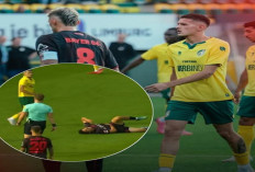 Justin Hubner: Dari Cadangan Wolverhampton ke Starter di Eredivisie Bersama Fortuna Sittard