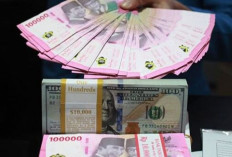 UPDATE ! Kurs Rupiah Kamis 1 Agustus 2024 : Tergelincir 2 Poin Menjadi Rp16.262 per Dolar AS