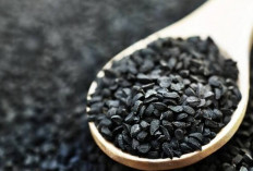 Jinten Hitam Dapat Memperlambat Proses Menopause