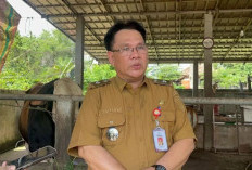 Sumsel Stabilkan Harga Cabai Merah
