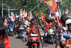 UMSP Sumsel 2025 Bertambah Jadi 9 Sektor : Ini Daftar Lengkap dan Nominalnya yang Terbaru !