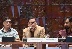 Revisi UU Partai Politik Didorong, Doli Tekankan Transparansi Keuangan dan Pencegahan Korupsi