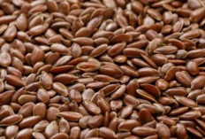 Jaga Kesehatan Tulang dan Dukung Fungsi Otak dengan Biji Rami