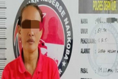 Peredaran Sabu di Lubuk Keliat Terbongkar : Polisi Tangkap Seorang Ibu Rumah Tangga !