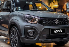 6 Kelemahan Suzuki Ignis 2025: Transmisi AGS hingga Handling Ringan, Ini Faktanya !