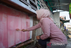 Cat Rumah Warga Tepi Sungai Musi