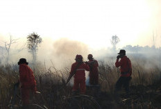 Karhutla Seluas 5 Hektare di Ogan Ilir Berhasil Dikendalikan, Manggala Agni Kerahkan Helikopter Water Bombing
