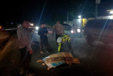 Daihatsu Ayla Tabrak Pejalan Kaki Tewas Ditempat