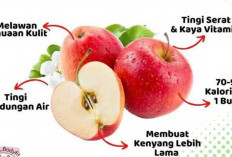 Kelebihan Buah Apel : Kaya Nutrisi dan Manfaat untuk Kesehatan