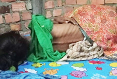 Astaga ! Tragedi Kelaparan Muncul Usai Lebaran di Desa Sungai Jernih Muratara : Ibu Muda Meninggal