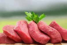 Konsumsi Daging Merah Sebelum Program Fertilitas Dinilai Mampu Tingkatkan Kualitas Embrio