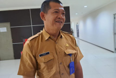 Kabar Gembira!!! BKPSDM Prabumulih Pastikan Akan Cairkan Gaji PHL yang Terdata BKN dan Ikut Seleksi PPPK 