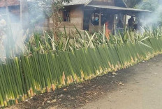 Lemang Ketan: Cita Rasa Tradisional yang Menggugah Selera