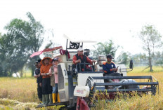 Askolani Apresiasi Petani Songo Makmur