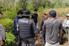 Geger, Warga Gelumbang Temukan Mayat Lansia di Kebun Karet