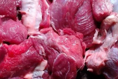 Jaga Kesehatan Mata dan Sistem Saraf dengan Daging Kambing