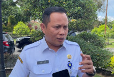 Berlakukan Opsen PKB dan BBNKB, Berikan Insentif Pajak hingga 25 persen