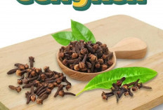 Cengkeh : Rempah Kecil dengan Segudang Manfaat Kesehatan