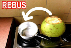 Jaga Kesehatan Ginjal dengan Air Kelapa Rebus