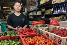 Update Harga Pangan 14 Mei 2026: Harga Cabai Rawit Merah Tembus Rp78.500, Telur Ayam Nyaris Rp34 Ribu
