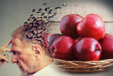Memerangi Alzheimer: Quercetin, Pahlawan Tersembunyi dalam Buah Apel