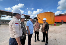 Inovasi Hilirisasi Sawit Berbasis Koperasi Jadi Sorotan Nasional