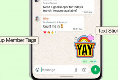 WhatsApp Perkaya Obrolan Grup dengan Fitur Tag, Stiker Teks, dan Pengingat Acara
