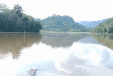 Menikmati Keindahan Danau Bukit Layang di Muratara : Pesona Alam Tersembunyi di Sumatera Selatan !