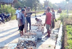 Petani Karet di OKU Mulai Mulai Tersenyum  : Harga Karet Menembus Rp14.300 per Kilogram !