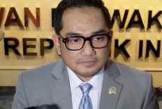 RUU ASN Didorong untuk Atasi Masalah Ketidaknetralan ASN di Pilkada