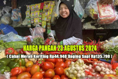 Harga Pangan 23 Agustus 2024 :  Mayoritas Naik Tipis, Bawang Merah Capai Rp25.920 per Kilogram !