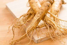 Cegah Rambut Rontok dengan Creambath Ginseng 