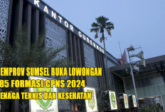 Sumatera Selatan Buka 185 Formasi CPNS Tahun 2024 : Peluang untuk Tenaga Teknis dan Kesehatan !