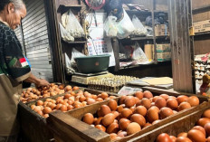 Harga Pangan Rabu 19 Februari 2025 : Cabai Rawit Rp71.250/Kg, Telur Ayam Melambung Menjadi Rp30.250/Kg !