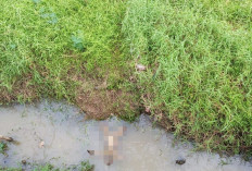 Mayat Mengambang di Sungai Enim Gegerkan Warga Karang Raja